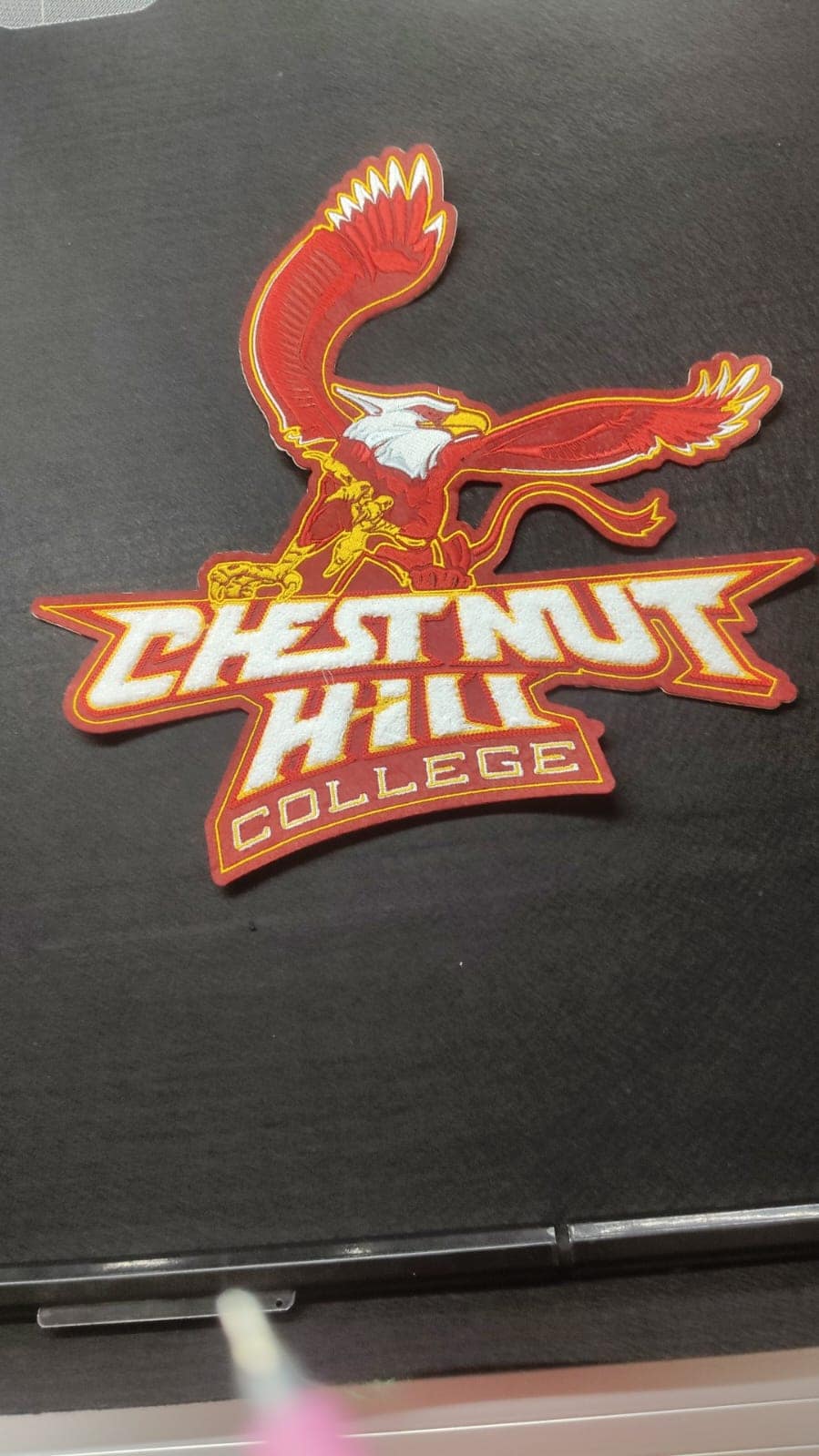 Chenille patch